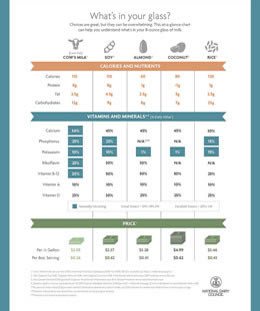 Milk Alternatives Milk_Alternatives_credit_National_Dairy_Council