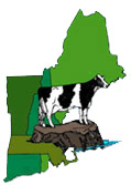 NE