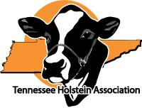 TN logo