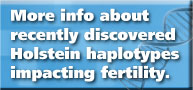 haplotypes