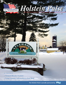 Holstein Pulse: Winter 2009