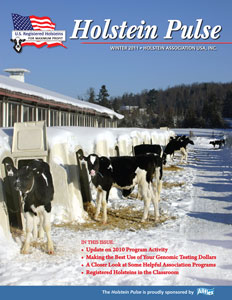 Holstein Pulse: Winter 2011