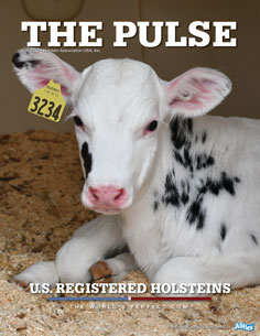 Holstein Pulse