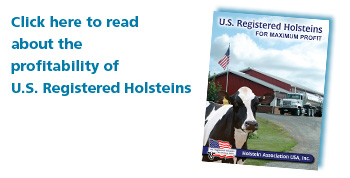 US Registered Holsteins