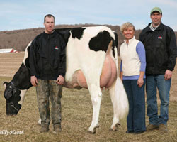 B-Long Holsteins