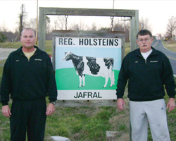 Jafral Holsteins