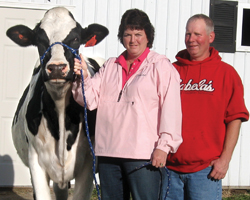 Sweet-Peas Holsteins