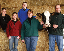 Doorco Holsteins