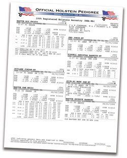 Official Holstein Pedigree