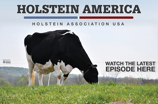 Holstein America