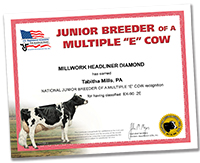 Junior Breeder of a Multiple E Cow
