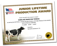 Junior Lifetime Production Award - 200,000