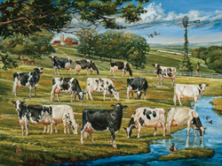 Ladies of Wisconsin