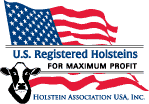 Holstein logo