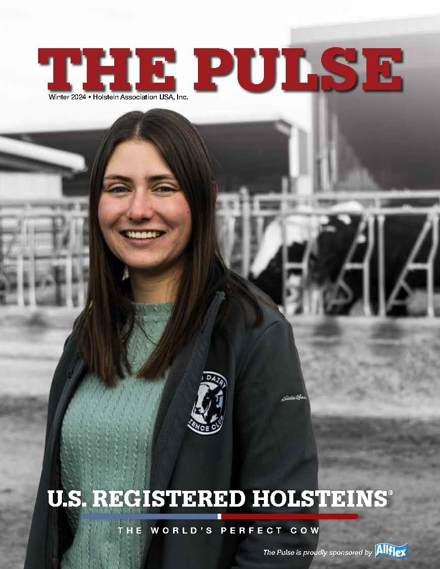 Holstein Pulse