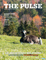 Holstein Pulse: Fall 2018