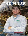 Holstein Pulse: Winter 2019