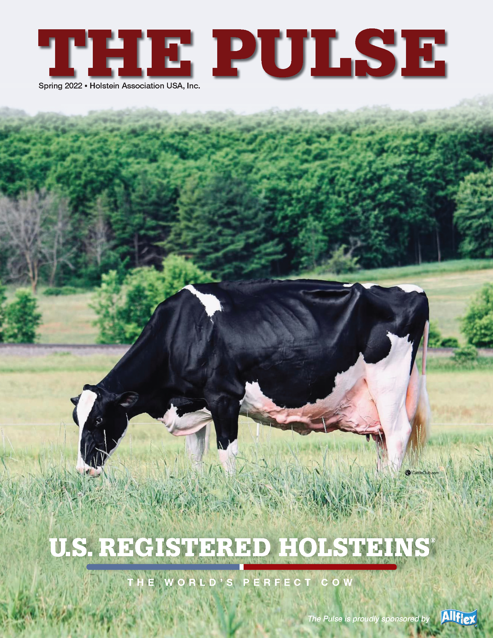 Holstein Pulse: Spring 2022