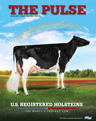 Holstein Pulse: Spring 2023