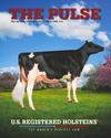 Holstein Pulse: Fall 2023