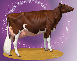 Star of the Breed Miss Hot Mama-Red-ET