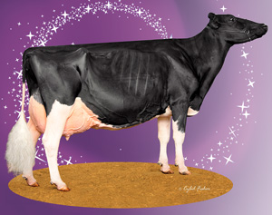 Star of the Breed T-Triple-T Platinum-ET