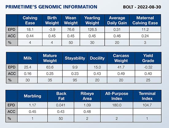 Conformation