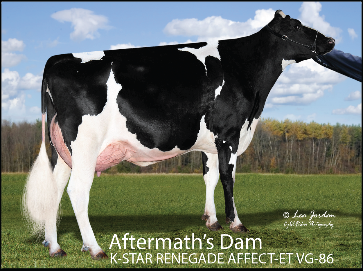 Aftermath's Dam: K-STAR RENEGADE AFFECT-ET