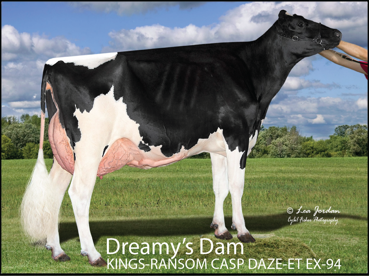Dreamy's dam: KINGS-RANSOM H DREAMY-ET