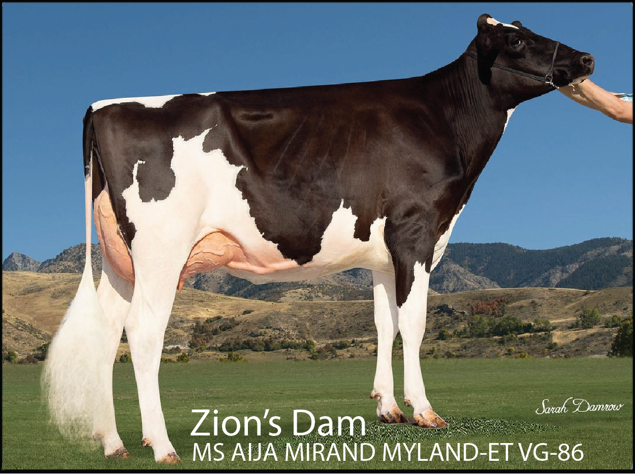 Zion's Dam: AIJA KING-DOC WICHITA-ET