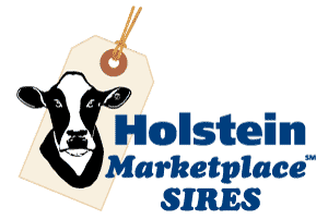 Holstein Marketplace Sires